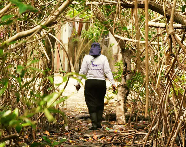 Mujeres de Costa Rica impulsan la restauración de manglares para combatir el cambio climático