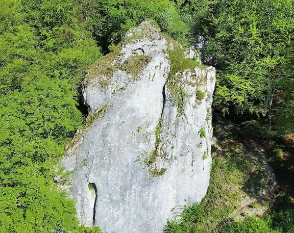 Dos figurillas de pájaros halladas en el sitio Patrimonio de la Humanidad de Hohle Fels han sido declaradas «Hallazgo del Año»