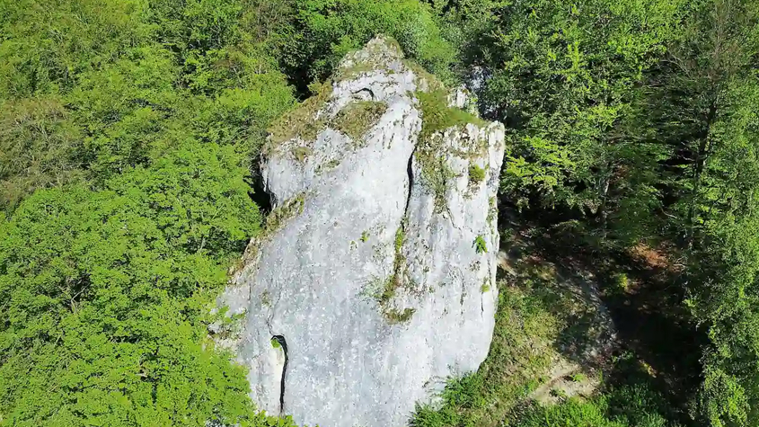 Dos figurillas de pájaros halladas en el sitio Patrimonio de la Humanidad de Hohle Fels han sido declaradas «Hallazgo del Año»