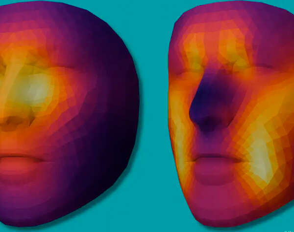 Desarrollan inteligencia artificial que estima la edad biológica y predice la supervivencia de pacientes con cáncer